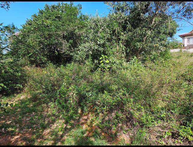 1,160M² VACANT LAND FOR SALE IN HAWAAN FOREST ESTATE